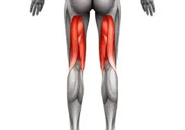 Acute Effects of Different Intensity and Duration…